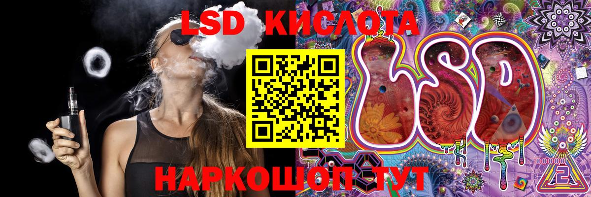 Псилоцибиновые грибы Кольчугино