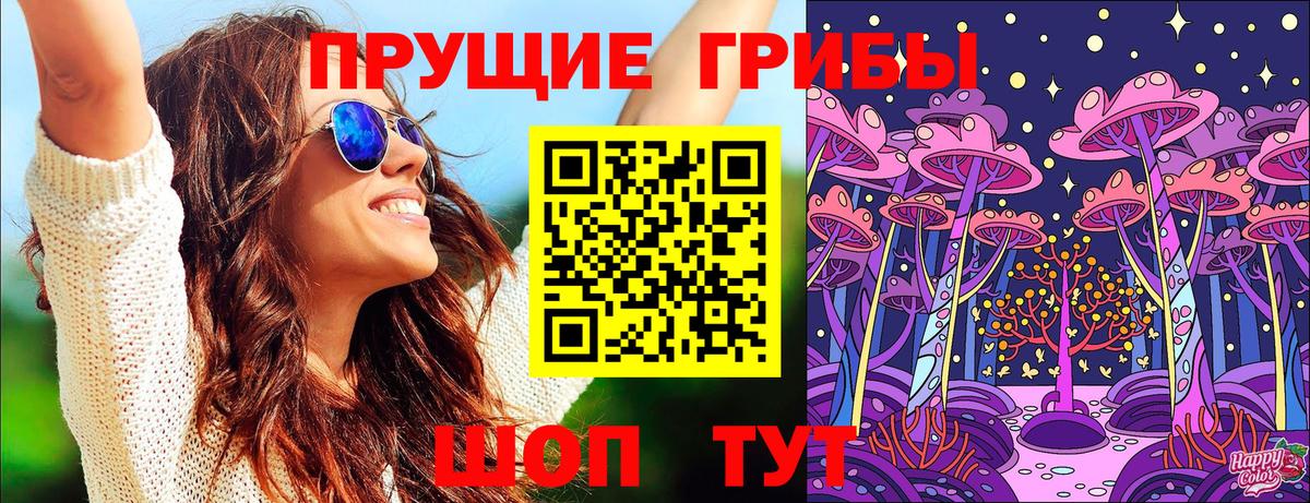Псилоцибиновые грибы Psilocybe  Вход с VPN  Кольчугино 
