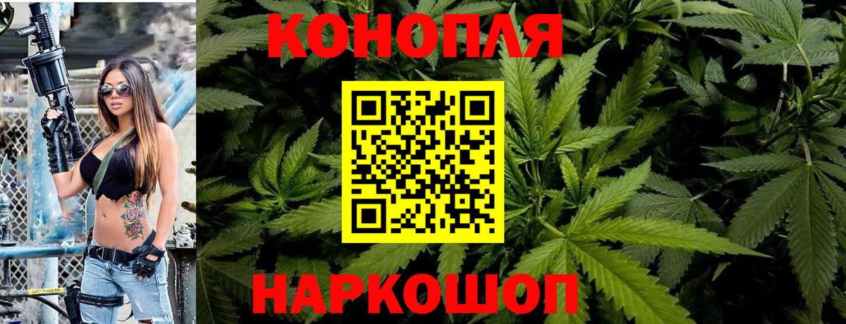 Шишки марихуана OG Kush  Вход с VPN  Кольчугино  Конопля White Widow  Бошки марихуана сатива 